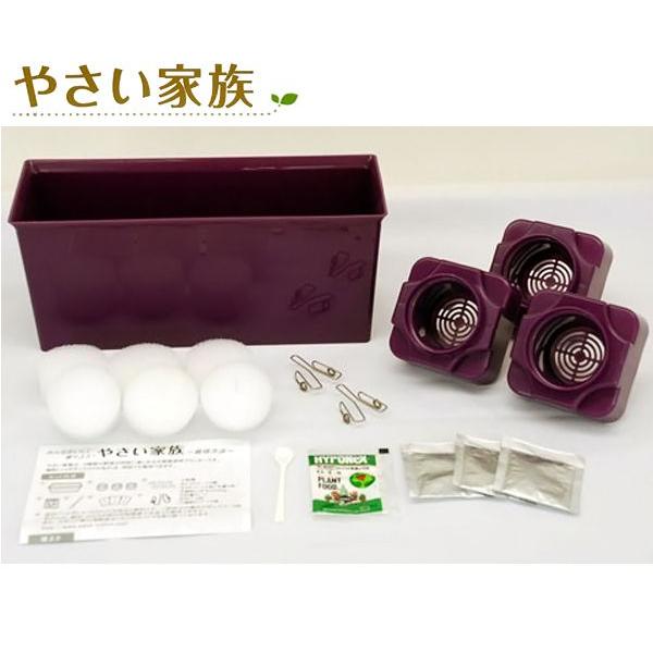 水耕栽培キット　やさい家族　栽培プランター（紫）｜vg-harada