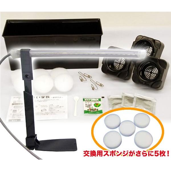 水耕栽培キット　栽培プランター＆お陽さまのLEDスタンド＆交換用苗床スポンジ フルセット（ブラック）｜vg-harada