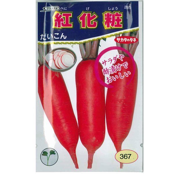 野菜の種/種子 紅化粧 ダイコン・だいこん 3.0ml（メール便発送）サカタのタネ 種苗｜vg-harada