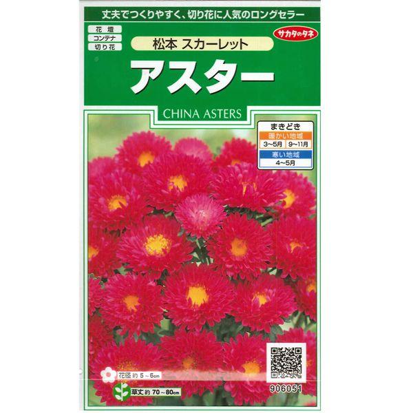 Sale 79 Off 花の種 アスター 松本 スカーレット 1ml メール便発送