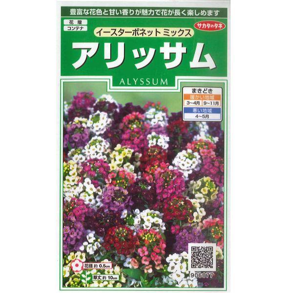 花の種　アリッサム［イースターボネットミックス］　0.05ml（メール便発送）｜vg-harada