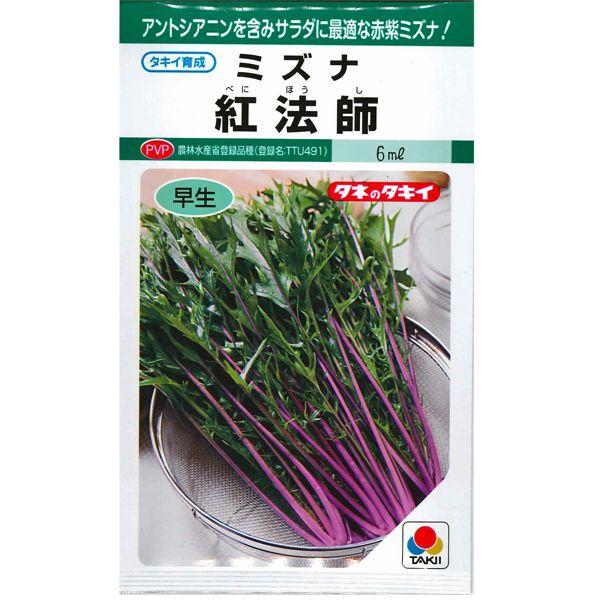 野菜の種 種子 ミズナ紅法師 水菜 5ml メール便発送 タキイ種苗 捧呈