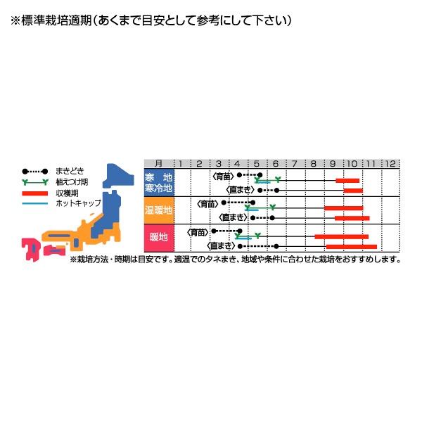 野菜の種/種子 ヘチマ へちま 8ml（メール便発送）サカタのタネ 種苗