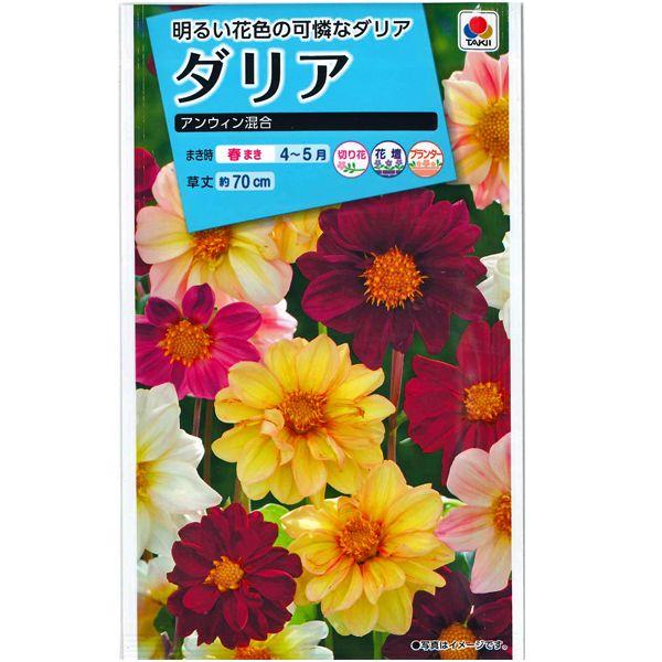 花の種　ダリア　［アンウィン 混合］　2.5ml（メール便発送）｜vg-harada