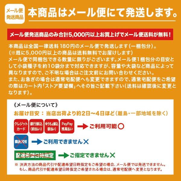 野菜の種/種子　黒もちとうもろこし　トウモロコシ　もろこし 40ml　(約120粒)（メール便発送）【1月下旬頃より発送】｜vg-harada｜02