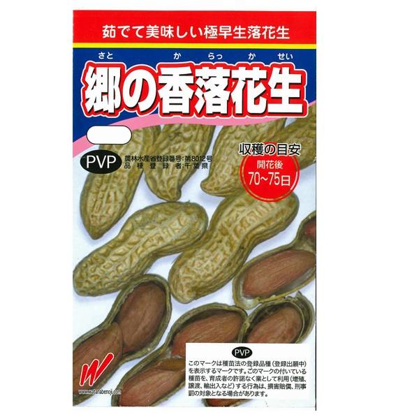 野菜・種/苗 郷の香落花生/落花生・ピーナッツ 生もの種 量り売り1dl