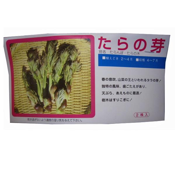 野菜の苗　食用球根　たらの芽 たらんぼ　たらの木　苗・種　2球入 ［袋詰め山菜］（Yahoo!・ベジタブルガーデン ハラダ）