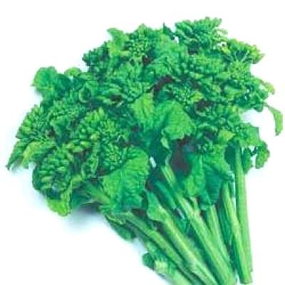 野菜の種/種子 秋華・ナバナ・なばな 菜花 2dl袋入（大袋）タキイ種苗