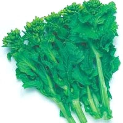 野菜の種 種子 冬華 ナバナ なばな 菜花 2dl袋入 大袋 タキイ種苗 Vg ベジタブルガーデン ハラダ 通販 Yahoo ショッピング