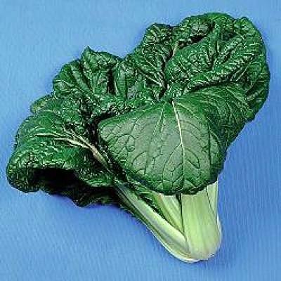 野菜の種/種子 ビタミン菜・ツケナ 8ml（メール便発送）タキイ種苗