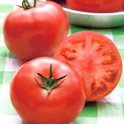 野菜の種/種子 桃太郎ピース・トマト 1000粒（メール便発送/大袋）タキイ種苗