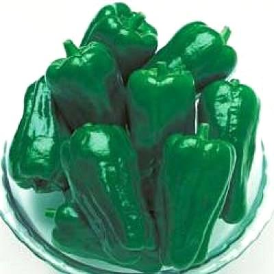 野菜の種 種子 京ゆたか ピーマン 1000粒 メール便発送 大袋 タキイ種苗 果菜 Saloncuma Cc