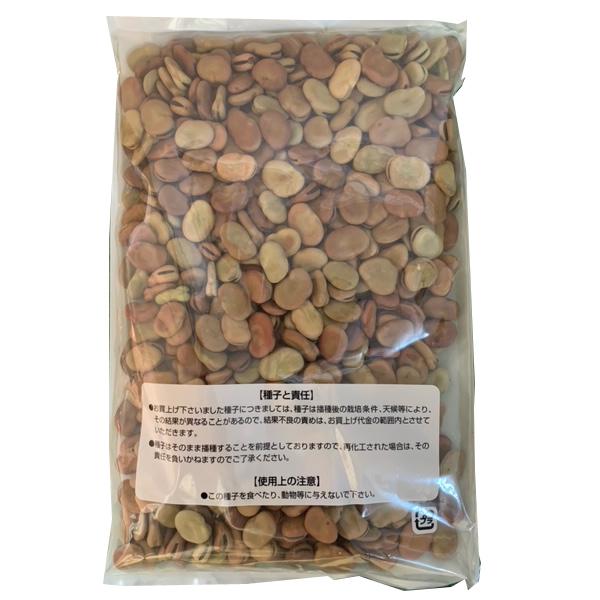 野菜の種/種子 早生そら豆 1L（大袋）アサヒ農園 : ベジタブルガーデン