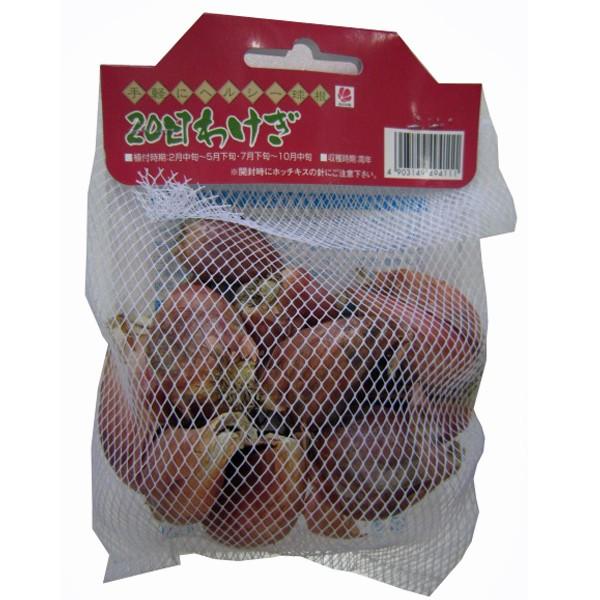 野菜の苗 食用球根 20日わけぎ 苗・種 150g入 : ベジタブルガーデン