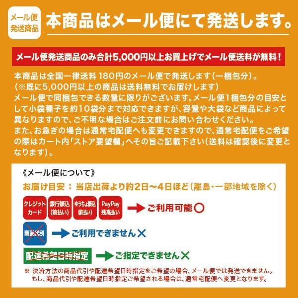 花の種（営利用）カンパニュラ ツリガネソウ・フウリンソウ メイ ホワイト 1ml サカタのタネ 種苗（メール便発送）｜vg-harada｜03