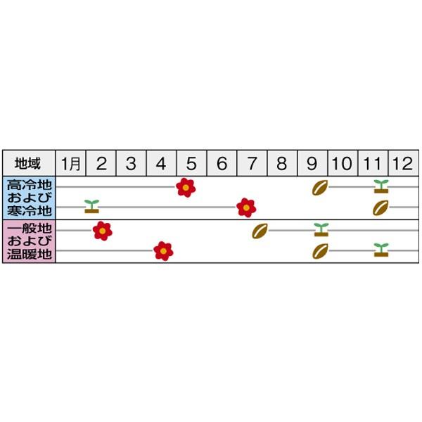 備前焼 龍つまみ 宝瓶 共箱 トヒウ 本さ5-0512☆ 備前焼 龍つまみ 宝瓶