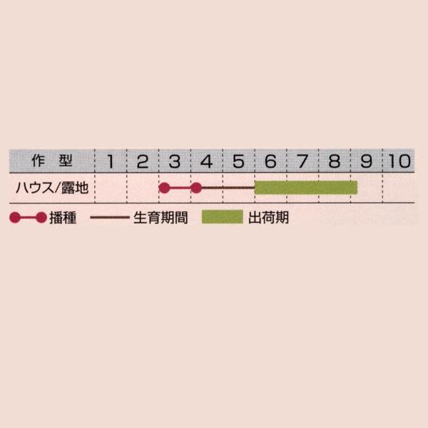 花の種（営利用）コスモス 矮性種 ディアボロ 1l タキイ種苗の画像