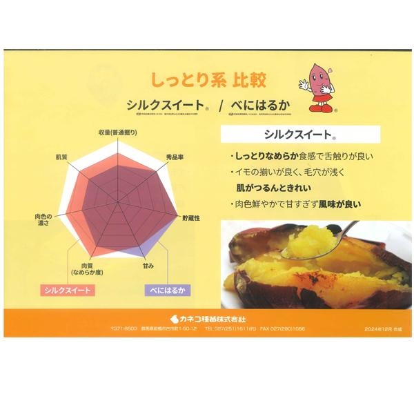 紅はるか 苗 250本 農家直送｜育成者許諾済｜PVP登録品種｜4月中旬から発送 予約受付中】紅はるか苗 100本 4月下旬から順次発送｜ - メルカリ
