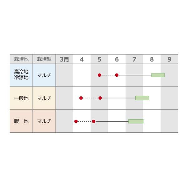 野菜の種/種子 ゴールドラッシュ88・とうもろこし トウモロコシ 2000粒