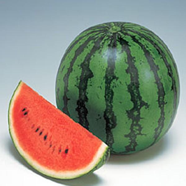野菜の種/種子 秀山・スイカ 200粒（メール便発送）タキイ種苗