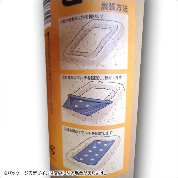 農業用マルチシート マルチフィルム トウモロコシ用 穴あき 黒 50m（幅