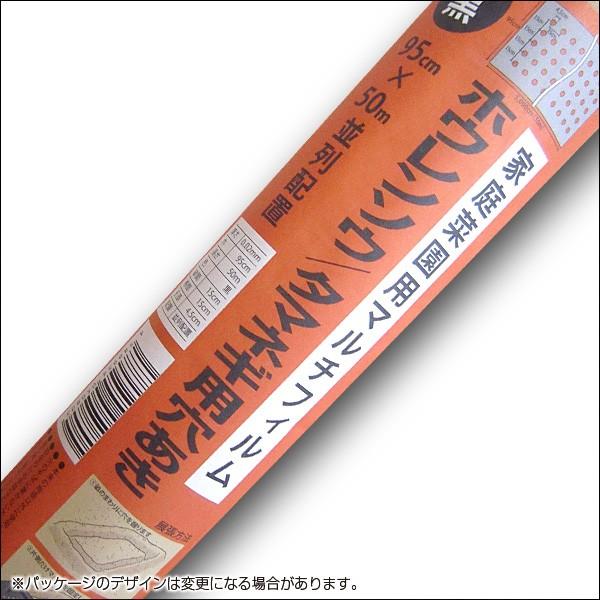 農業用マルチシート マルチフィルム ホウレンソウ タマネギ用 穴あき 黒 50m 幅95cm 薄さ0 02mm 穴径4 5cm 並列 農業資材 Vg ベジタブルガーデン ハラダ 通販 Yahoo ショッピング