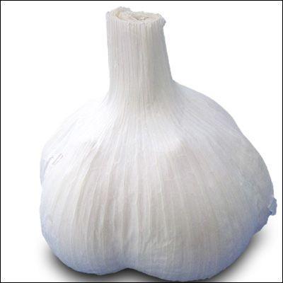 お買い得♪国産 青森県産 ニンニク種子 にんにく種子 福地ホワイト L