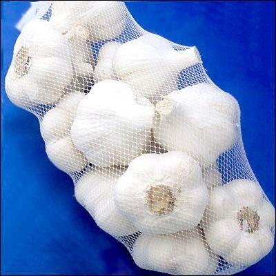 お買い得♪国産 青森県産 ニンニク種子 にんにく種子 福地ホワイト L