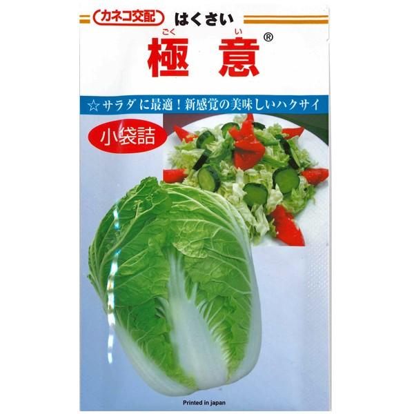 野菜の種/種子　極意　・はくさい　ハクサイ　白菜　1.5ml　（メール便発送）｜vg-harada