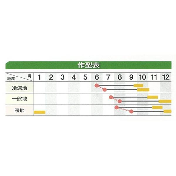 野菜の種/種子 ゆめはま ニンジン 人参 2dl（大袋）の画像