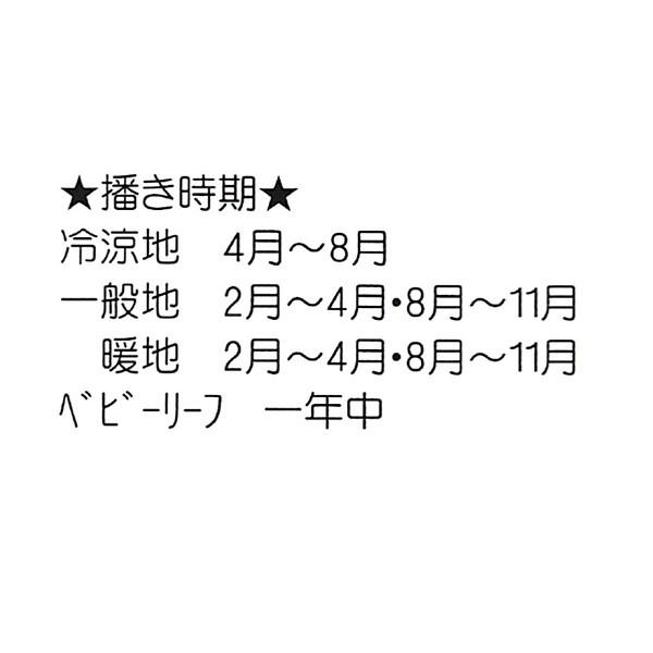 野菜の種/種子 ハンサムレッド（1号）レッドフリルレタス コート5000粒（大袋）