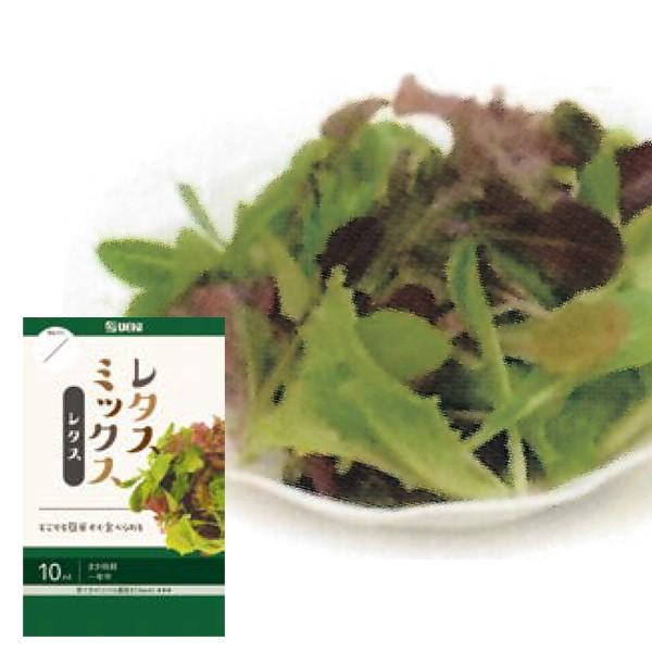 野菜の種/種子 レタスミックス 10ml（メール便発送）横浜植木｜vg-harada