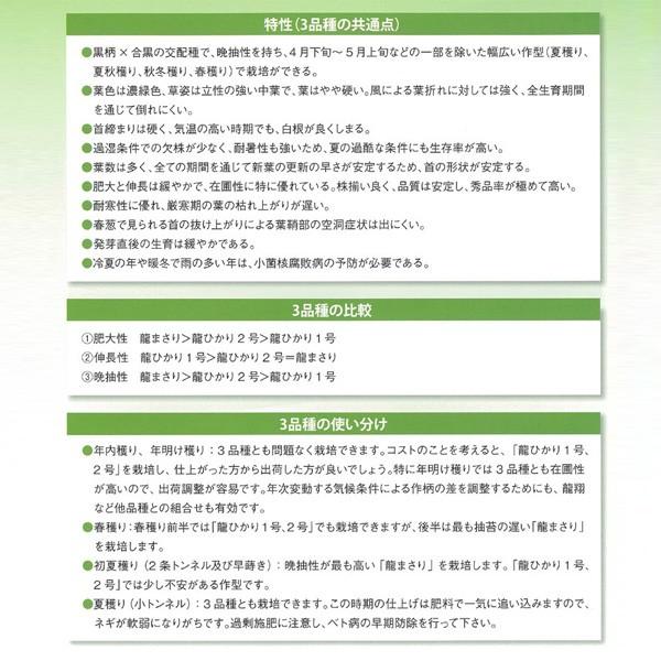 野菜の種/種子 龍ひかり1号 ねぎ 1dl（メール便発送）の画像