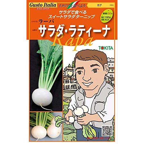 野菜の種/種子 サラダ・ラティーナ /ラーパ・カブ・イタリア野菜 200粒