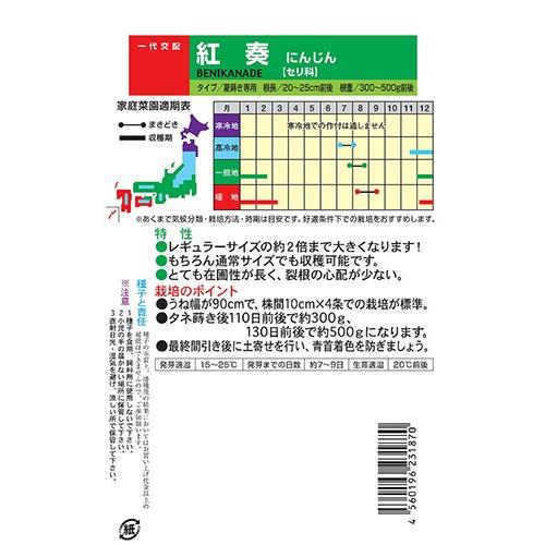 野菜の種/種子 紅奏・べにかなで ニンジン にんじん 人参 2dl （メール便発送）ナント種苗の画像