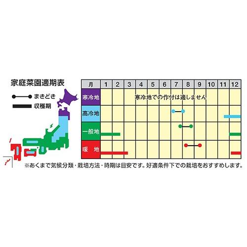 野菜の種/種子 紅奏・べにかなで ニンジン にんじん 人参 2dl （メール便発送）ナント種苗の画像