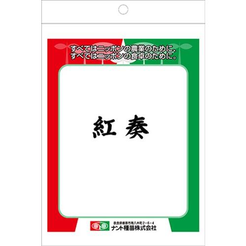 野菜の種/種子 紅奏・べにかなで ニンジン にんじん 人参 2dl （メール便発送）ナント種苗の画像