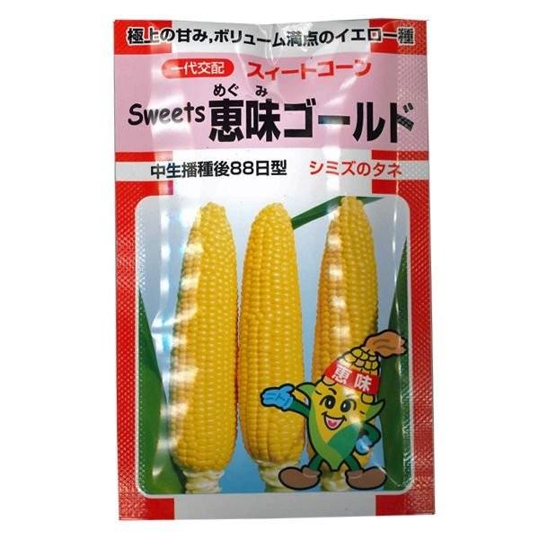 野菜の種/種子 Sweets 恵味ゴールド とうもろこし トウモロコシ 約2000