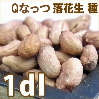 野菜 種 苗 Qなっつ落花生 落花生 Qナッツ ピーナッツ 生もの種 量り売り1dl 約60粒 ３月下旬頃より順次発送 Vg ベジタブルガーデン ハラダ 通販 Yahoo ショッピング
