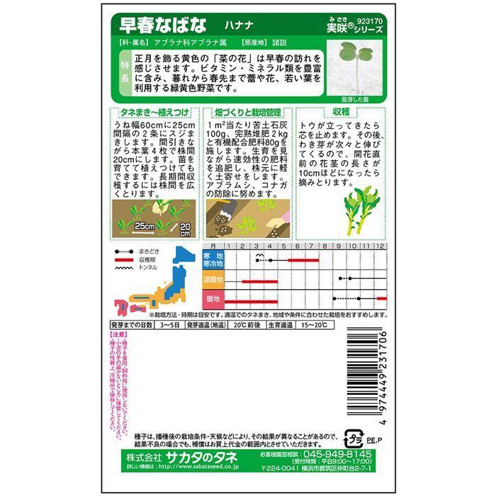 野菜の種/種子 早春なばな・ハナナ・ナバナ　菜花 4.8ml（メール便発送）サカタのタネ種苗｜vg-harada｜02