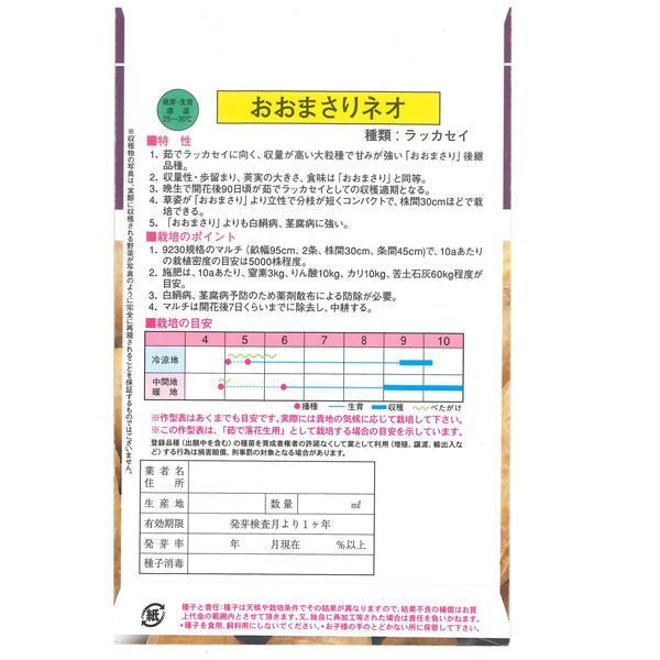 大人気！】野菜・種/種子 おおまさりネオ 落花生・生もの種 1L (約370