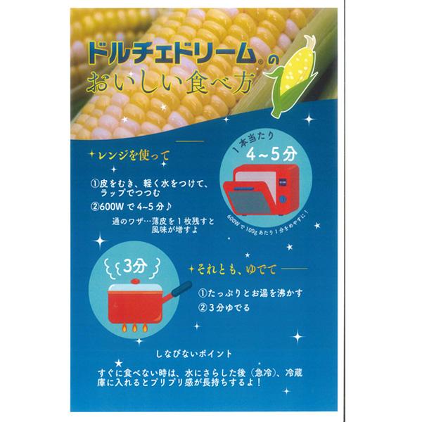 【送料無料！数量限定！】野菜の種/種子　ドルチェドリーム・とうもろこし トウモロコシ　2000粒  (大袋)｜vg-harada｜04