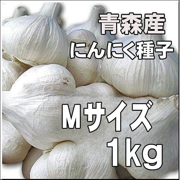 国産 青森県産 ニンニク種子 にんにく種子 福地ホワイト Mサイズ(約18