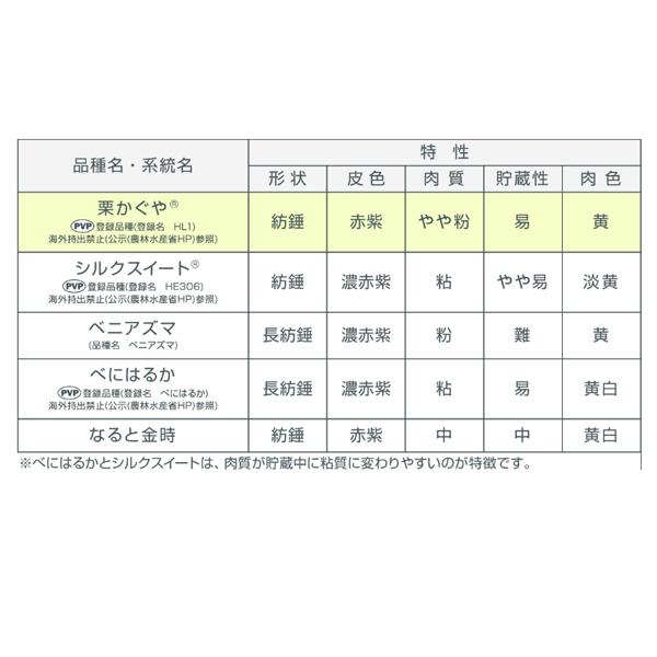 数量限定!10%OFF!¥2,180→¥1,962】バイオ(ウイルスフリー 数量限定!10%OFF!¥2,180→¥1,962】バイオ(ウイルスフリー