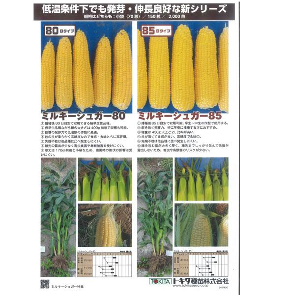 野菜の種/種子 ミルキーシュガー 85日タイプ・とうもろこし 150粒