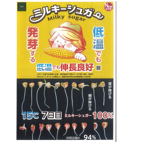 野菜の種/種子 ミルキーシュガー 85日タイプ・とうもろこし