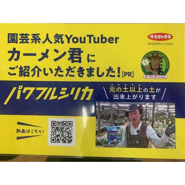 パワフルシリカ 1kg 土壌改良材 園芸用品・肥料 : ベジタブルガーデン