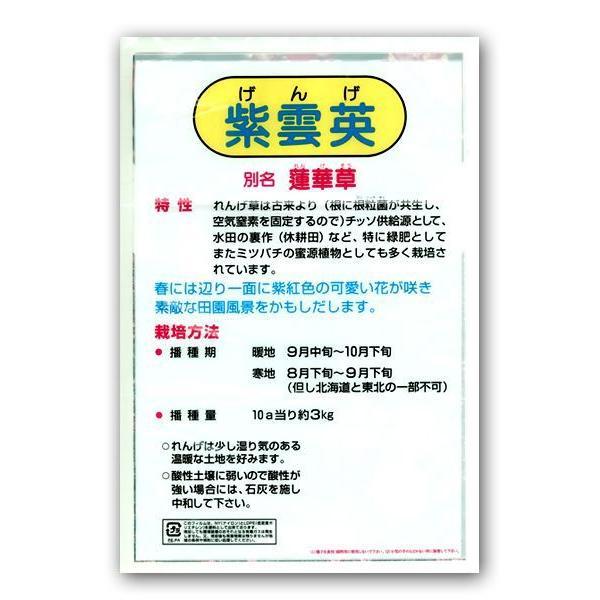 【お買い得！】れんげ草・レンゲ草・蓮華草 花の種 種子  1kg×10袋 爆買の画像