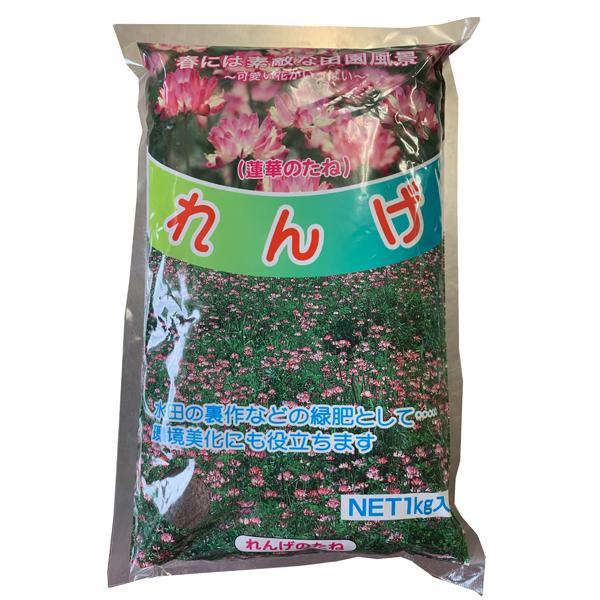 【お買い得！】れんげ草・レンゲ草・蓮華草 花の種 種子  1kg×10袋 爆買の画像
