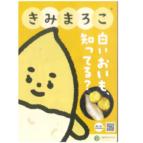TVで話題！数量限定！】きみまろこ 皮が白い サツマイモ苗 さつまいも